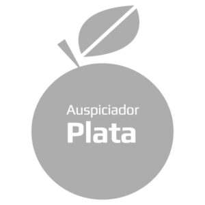 Auspiciador Plata