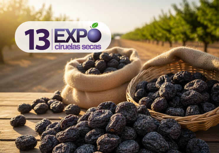 13 Expo Ciruelas Secas