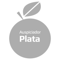 Auspiciador Plata