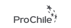 ProChile-01